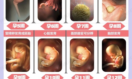 失活剂对人体有害吗、失活剂副作用有哪些 -失活剂 副作用网